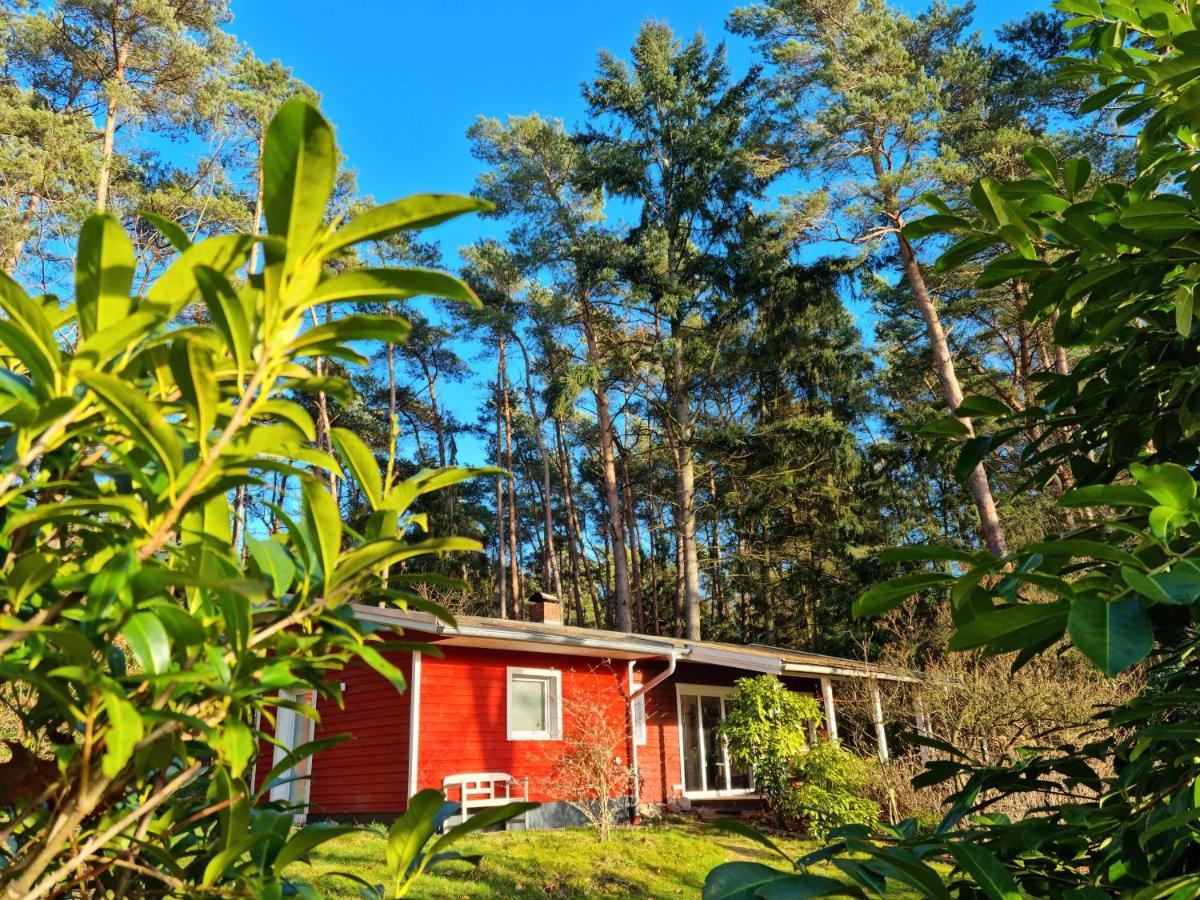 Waldhaus Doetlingen Ferienhaus Im Naturpark Ngoại thất bức ảnh